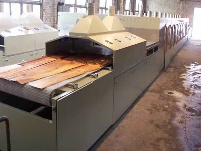 Wood microwave drying equipment